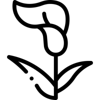 Funérarium